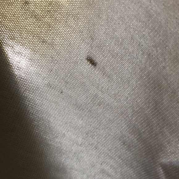 Humans Are Not Real Alien Shirt - XXL - Picture 7 of 7